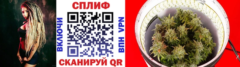 Где купить наркотики Белая Холуница МАРИХУАНА ссылка на мегу маркетплейс Гашиш Меф мяу мяу СОЛЬ
