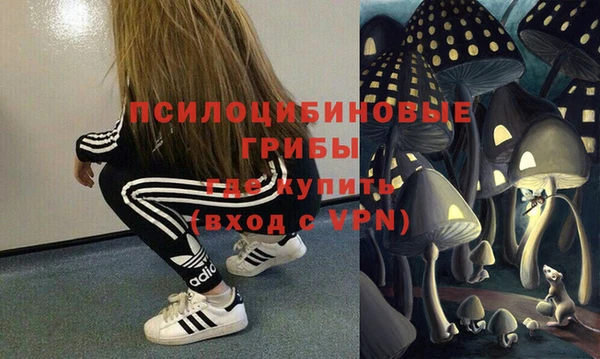 прущие грибы Шадринск