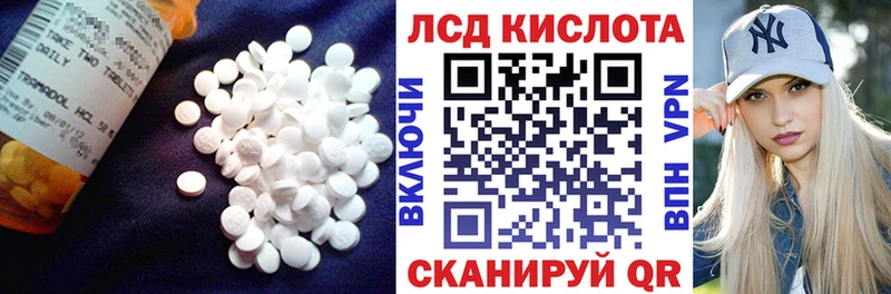 LSD-25 экстази кислота  закладки  блэк спрут ССЫЛКА  Белая Холуница 